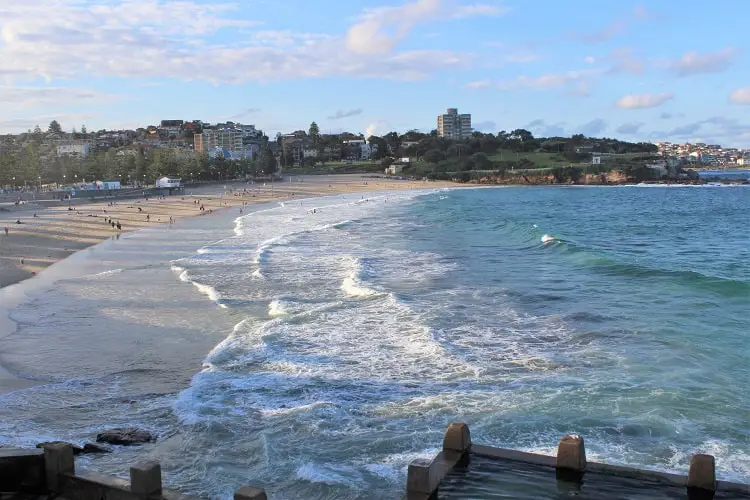 Huge Coogee Beach in Sydney viewed from above the ocean pool. It's one of the most popular of the Eastern Suburbs beaches in Sydney.