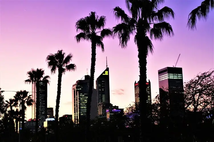 Beautiful purple sunset in Perth CBD, Australia with palm trees overhead and tall buildings.