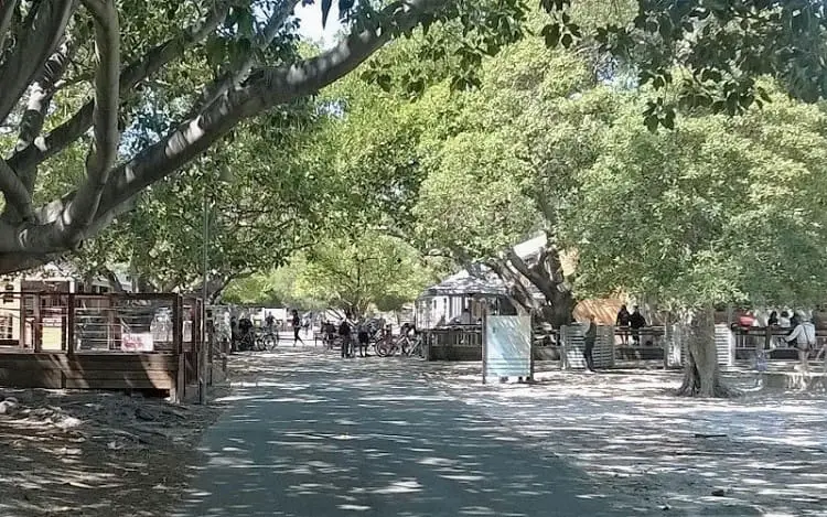 Strip of shops and takeaways in Thompson Bay, the main settlement on Rottnest Island.