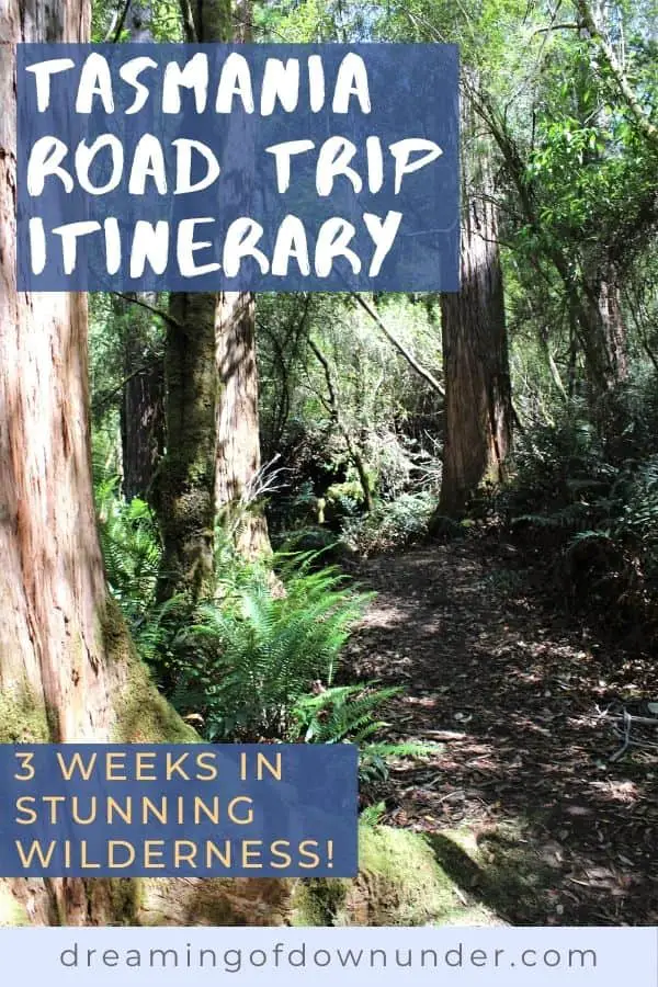 tasmania road trip plan