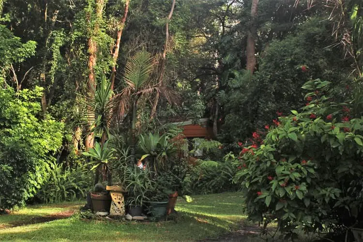 Beautiful garden at Balinese-style YHA in Port Stephens - one of the best hostels in Australia.