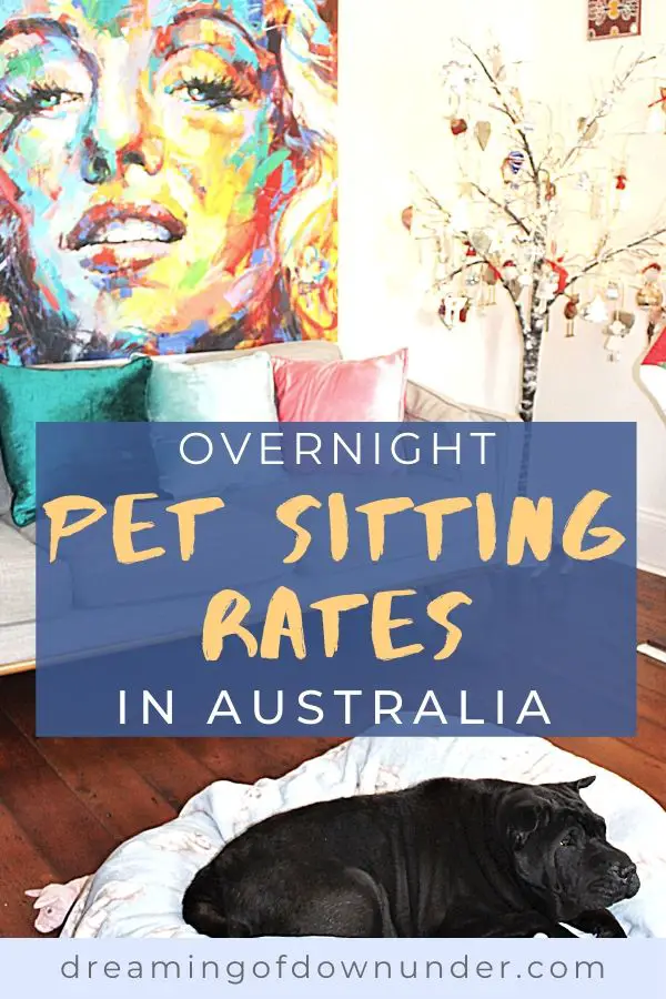 Find out how much to pay a house sitter in Australia.