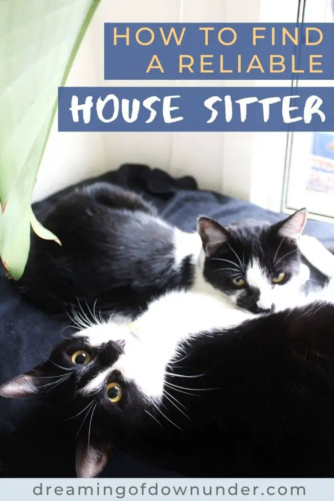 Learn how to find a house sitter with this guide from a professional house and pet sitter in Australia.