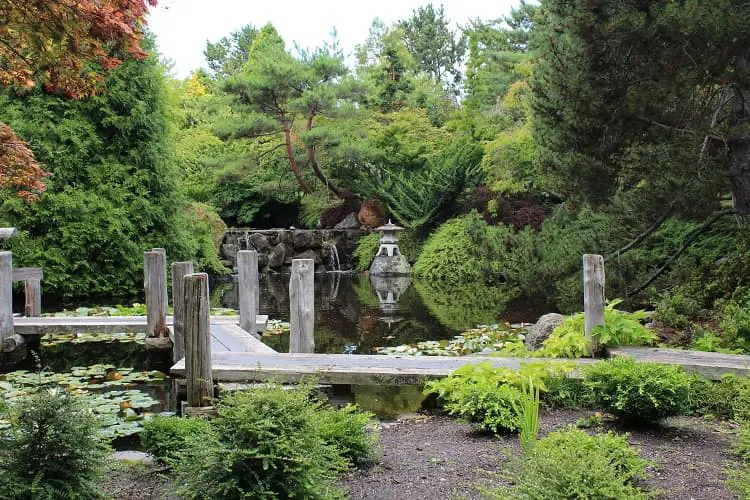 Stunning greenery and a lake at Hobart botanical gardens.