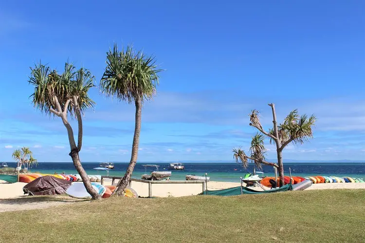 Beach and palm trees at Moreton Island, Brisbane.