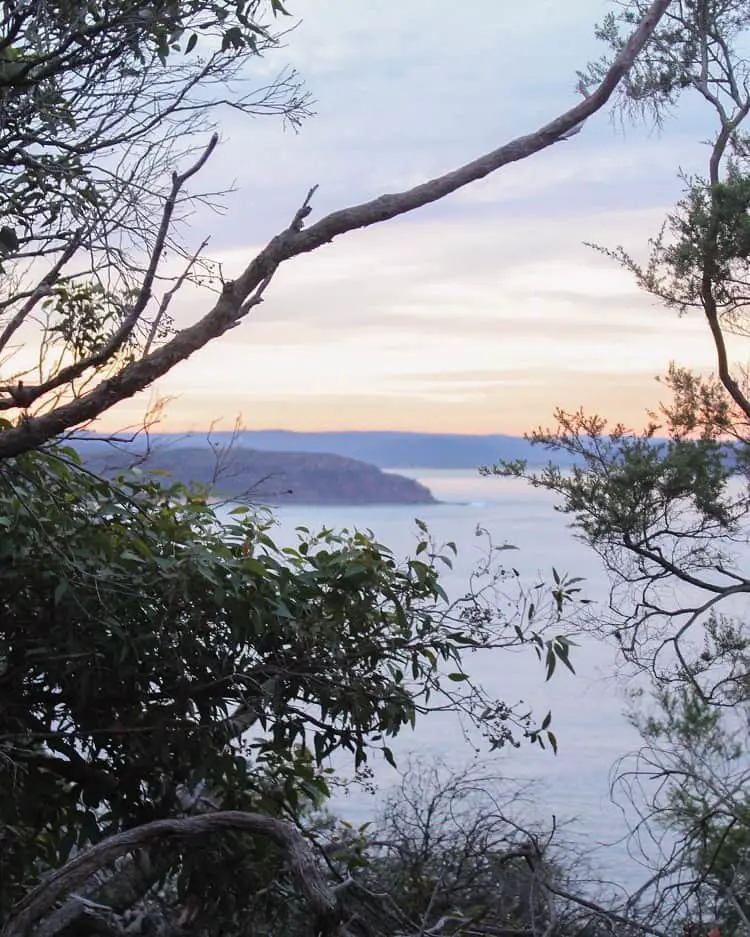 Beautiful peach sunset over Pittwater viewed from the Bangalley Head walk in Avalon Beach.