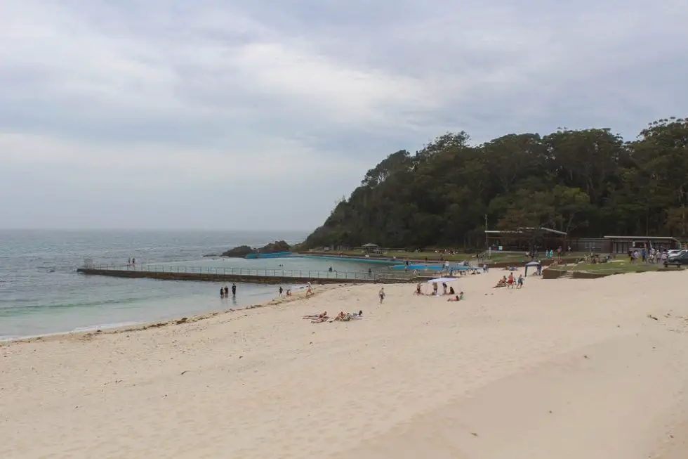 13 Best Things to Do in Forster, NSW Dreaming of Down Under