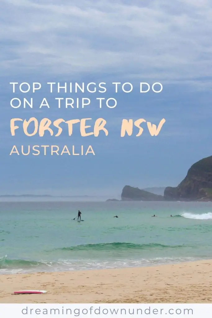 Pinterest image: what to do in Forster NSW.