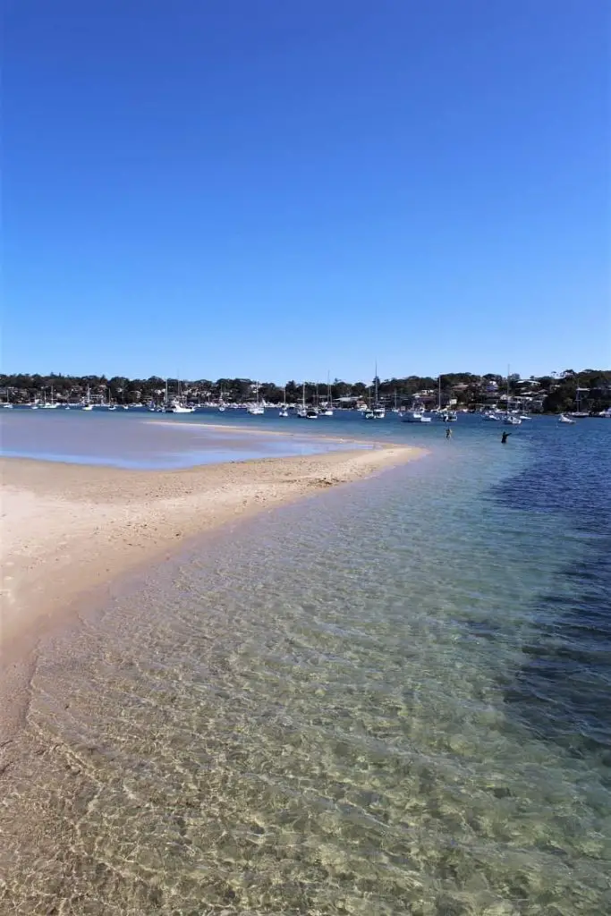 Beautiful clear water and beach in Cronulla.