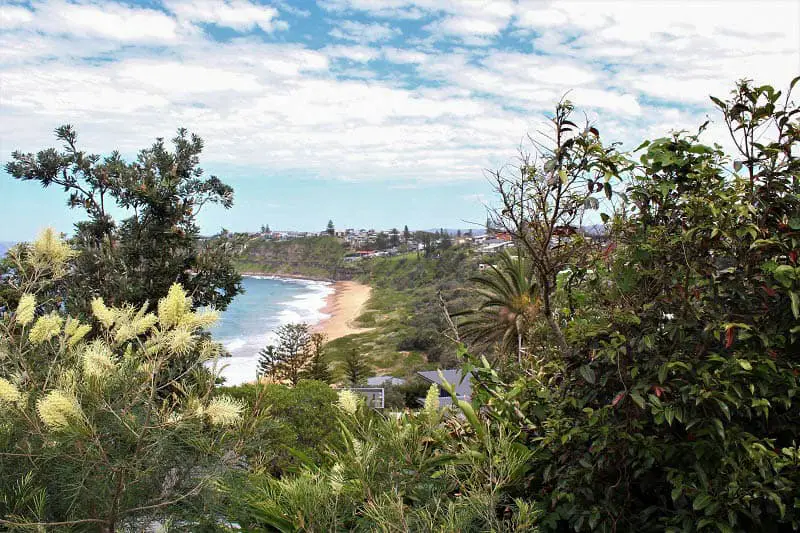 Looking down on rugged, quiet Bungan Beach in Sydney's Northern Beaches.