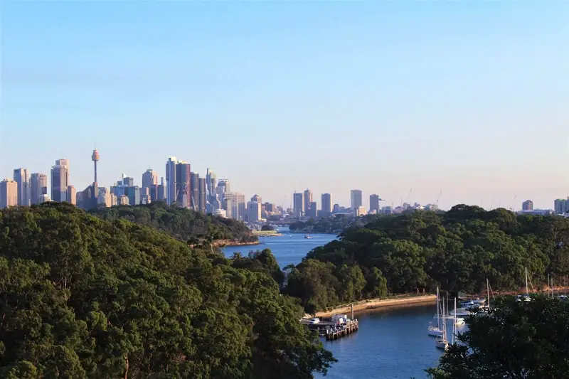 Beautiful Sydney skyline and harbour viewed across bushland in Greenwich.