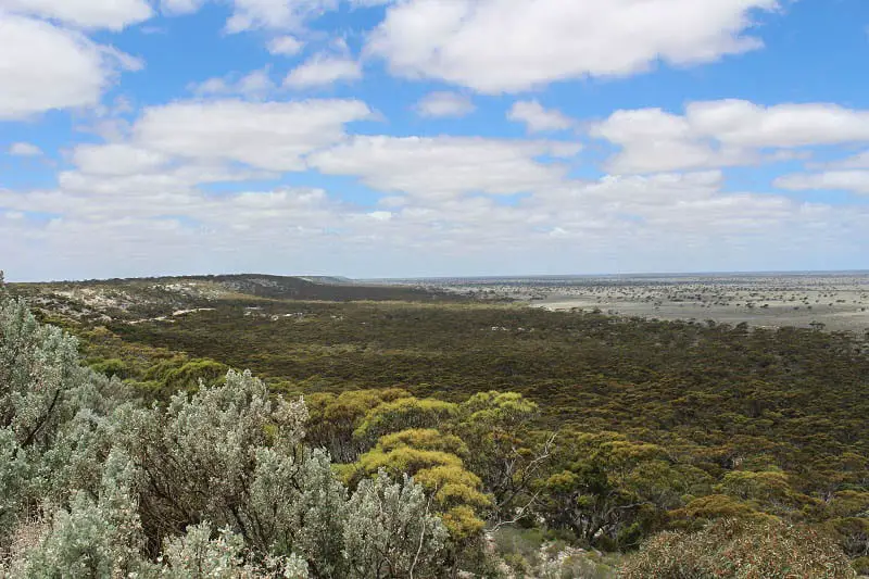 The open plains of the Nullarbor, between Perth and Adelaide, Australia.