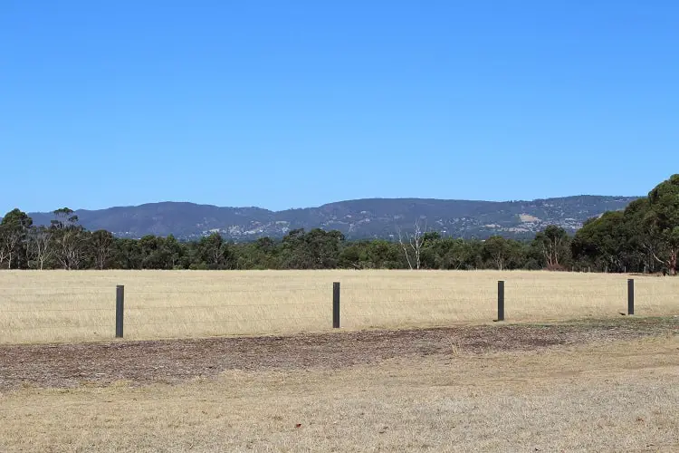 Lefevre Park in North Adelaide. The yellow grass shows Adelaide's dry climate.