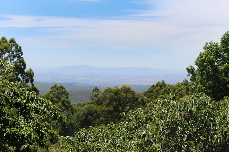 Dandenong Ranges, near Melbourne.