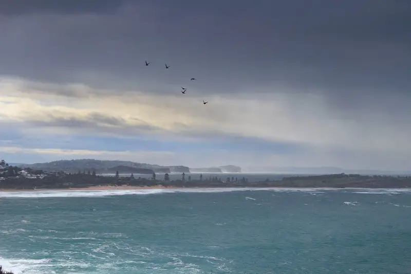 Looking up the coastline on a rainy day at Sydney's Northern Beaches.