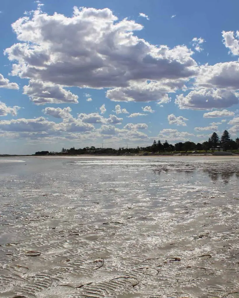 Low tide at Whyalla Beach, SA.