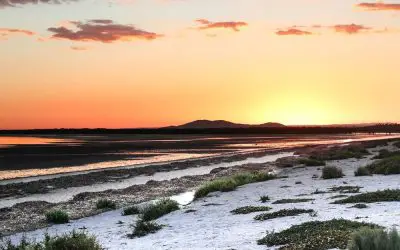 The Ultimate Guide to Whyalla South Australia