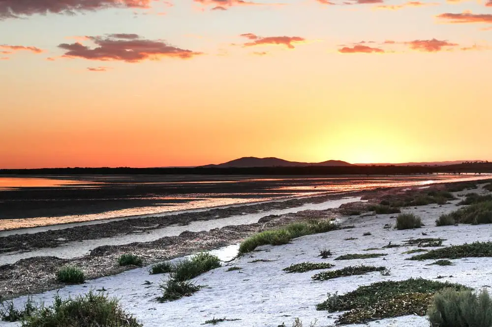The Ultimate Guide to Whyalla South Australia