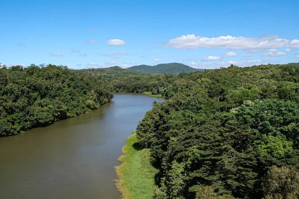 Beautiful Barron River in Barron Gorge National Park, Australia on a sunny day.