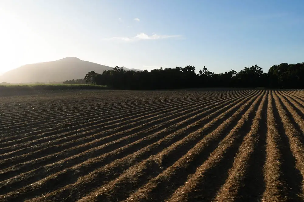 Sunset on ridged fields by Freshwater Station on the scenic railway from Kuranda to Cairns, Australia.