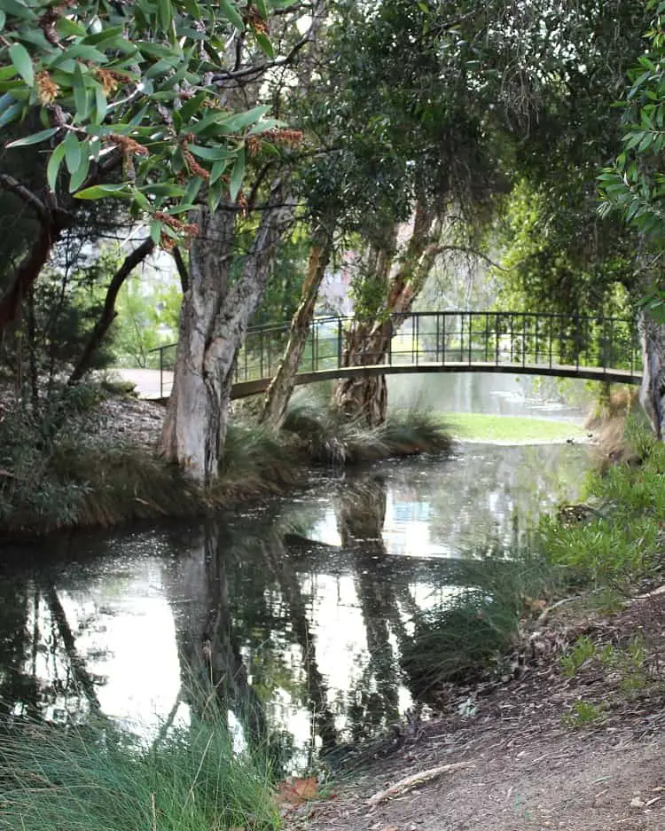 Queens Park, one of the top attractions in Perth.