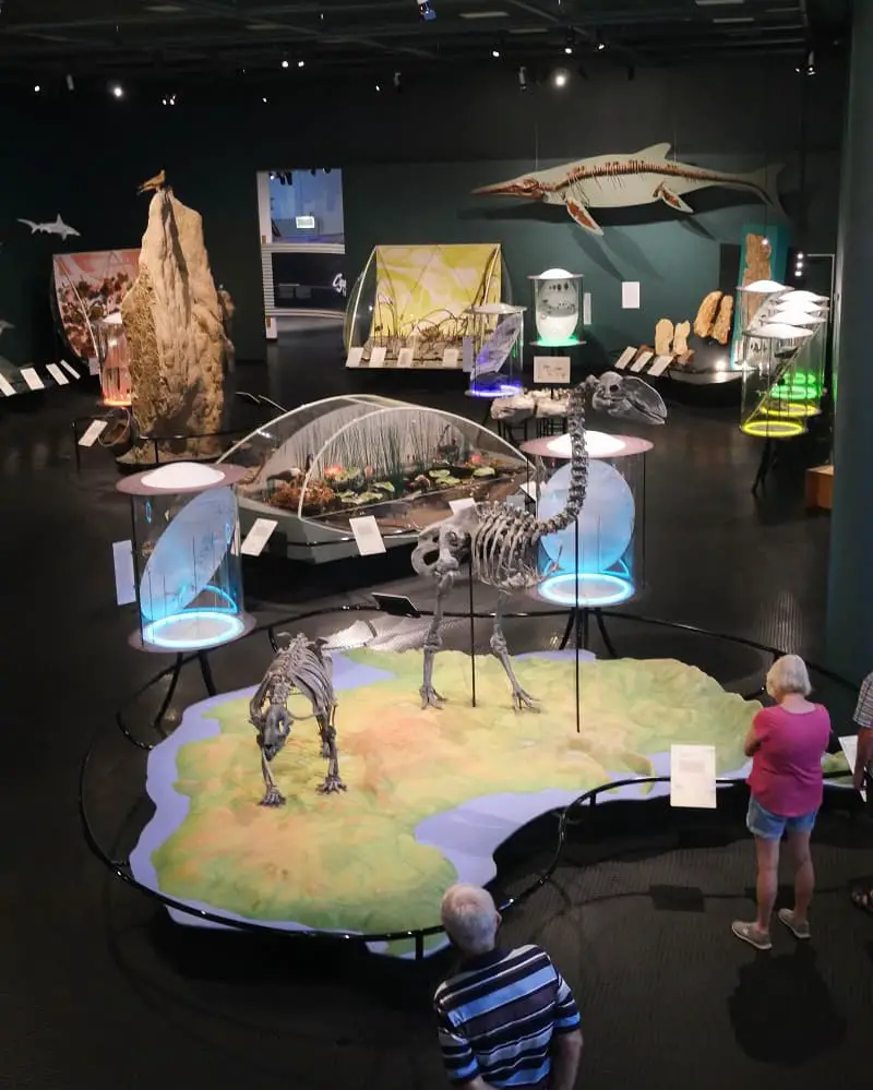 Exhibition at MAGNT Darwin, a top tourist attraction.