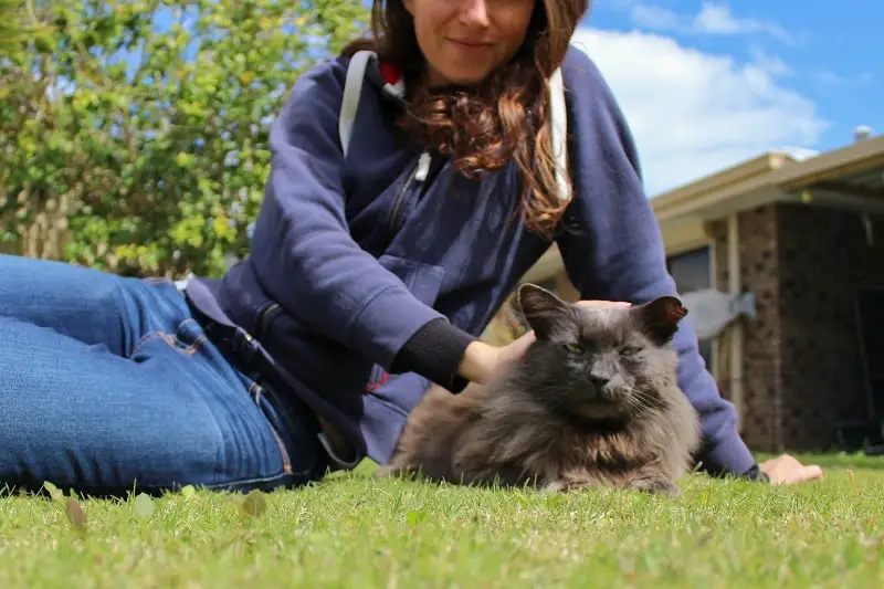 House sitter and blogger Lisa Bull stroking a cat on a pets sit in Perth through Aussie House Sitters.
