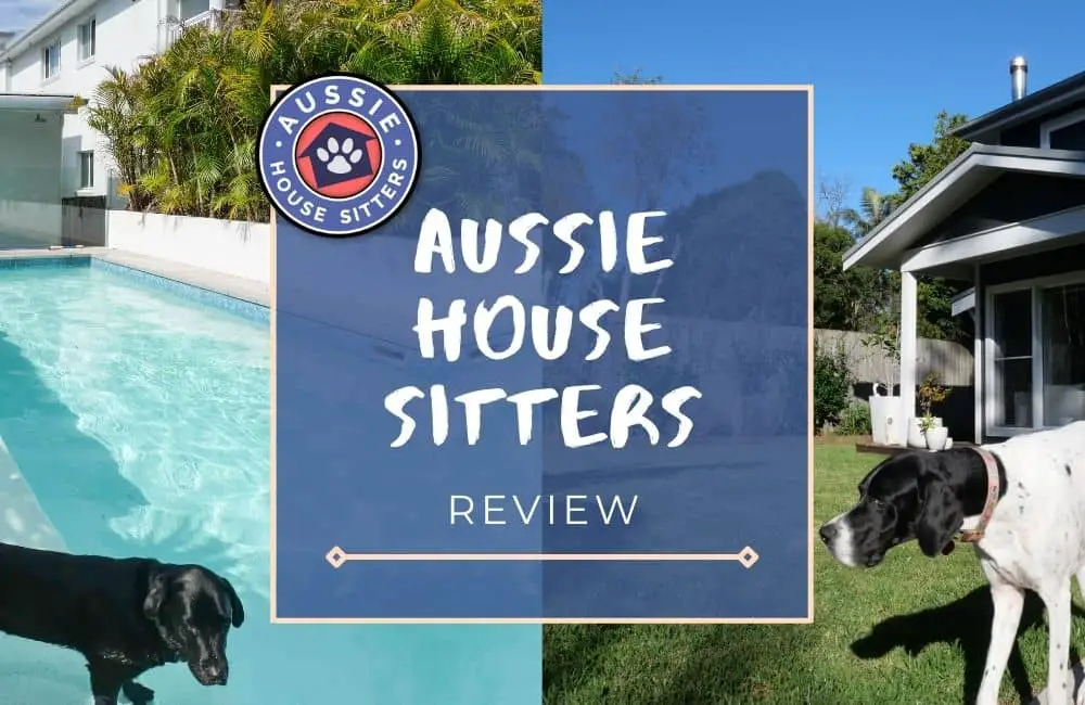 Aussie House Sitters Review: My House Sitting Experience & Tips