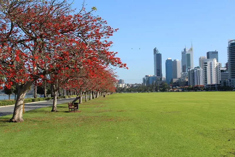 Langley Park in Perth with the CBD in the background.