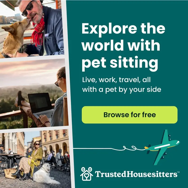 Find pet sitters with home insurance.