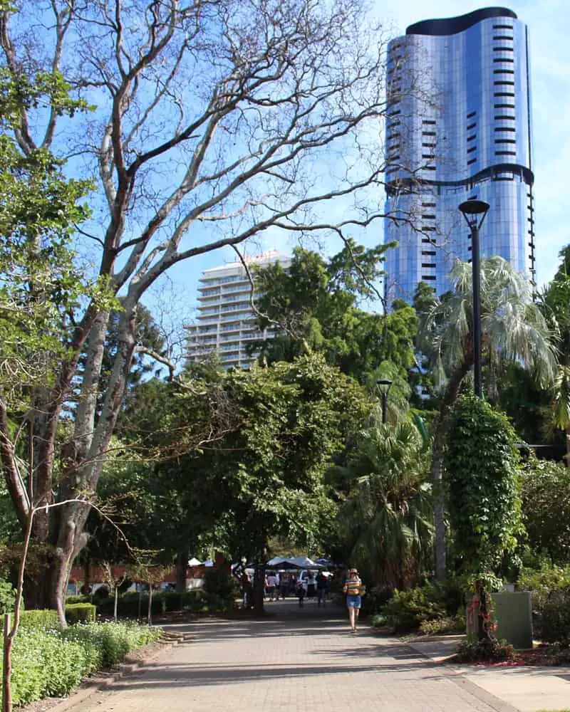 Botanic Gardens in Brisbane City.
