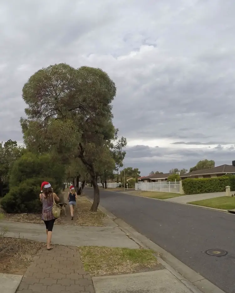 A suburban street in Adelaide.